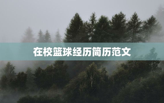 小学生篮球训练总结及心得体会简短_1
